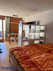 "Le Ptit Nid" studio avec vue à couper le souffle à Leysin ! - Image 1