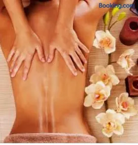 MealSaveurs & SPA - Image 4