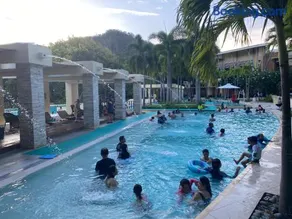 PICO DE LORO CAROLA B - Image 2