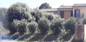 Scacco Matto - Image 1
