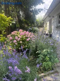 The house of roses - Image 4