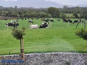 Inch View Lodge - Image 3