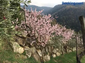 Biohof Niedereben - Image 4