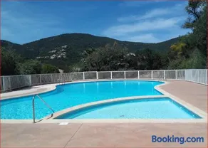 Soleil du Sud - Image 1