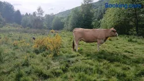 Chambre d hote - Image 4