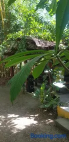 Bongosurfcamp - Image 5