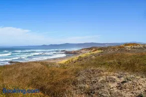 Sea Dream and Sand Dollar Suite - Image 2