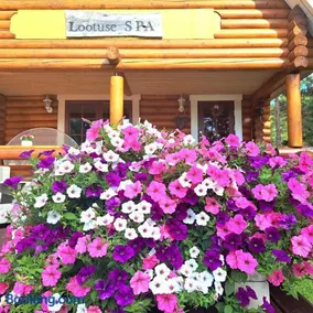 Lootuse Spa - Image 2