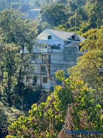 The Golden Attic - Image 1