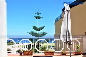 Una Araucaria sul mare - Image 1