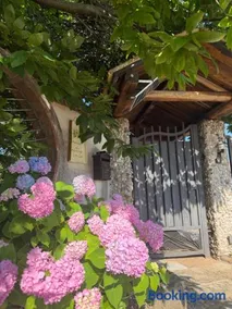 A Casa di nonna Emilia - Image 4