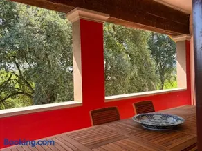 Agriturismo Villa Conti - Image 2