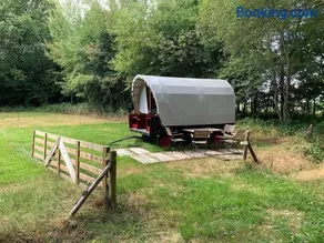 Huifkar in landelijke omgeving De Mersken 9 Ureterp - Image 1