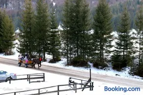 Voroneț, CABANA IOANA, Bucovina! - Image 3