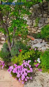Casa Cabra - Image 3
