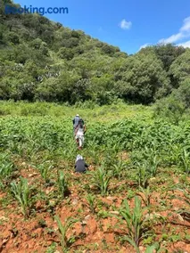 Cabaña tepozan - Image 1