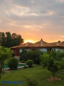 Homestead thapli - Image 1