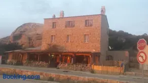 L'oasis du Lion - Image 4