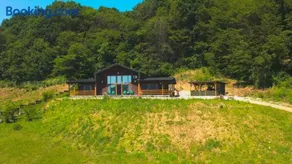 Casa cu Pădure - Image 2