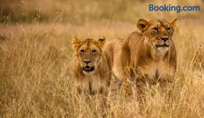 Best Camping Tours Campsite - Image 1