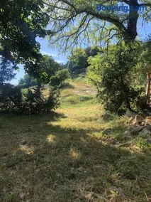 Domaine de Regan - Fenêtre sur le Luberon - Logement calme au coeur du Luberon - Image 3