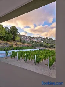 Raposa Verde - Agroturismo - Image 3