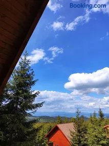 Woodland house - Image 4