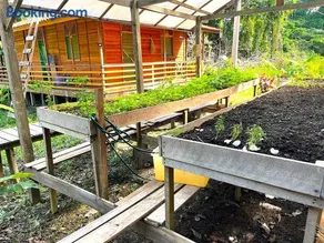 Jambu Hostel Combu - Image 4