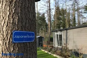 Japanse bostuin met Wifi - Image 1