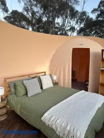 Romantic Stargazing Getaway - Beyond Bubbles - Image 4