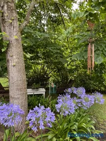 Laureles - Image 2