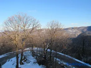 Il Bric - Image 1