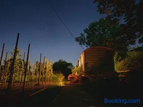 Starlight Shepherd Hut - Image 3