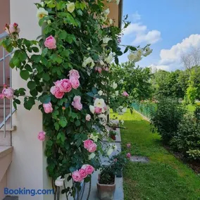A casa di Albino e Giovannina - Image 4