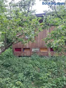 Api terapia Bojnice - Image 4