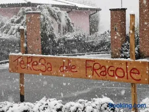 Agriturismo Teresa delle Fragole - Image 4