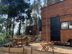 El Bosque de Paipa - Image 4