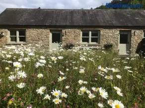 Danygraig Cottage - Image 1