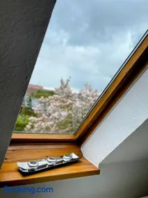 *To hus* Wohnung am Rande von Jever - Image 4