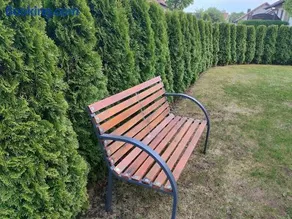 Idyllische Ferienwohnung - Image 2
