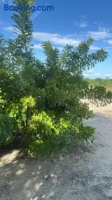 Um lugar para descansar e curtir com a família! - Image 2