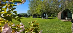 Camping Pod on Quiet Adults Only, Dog Friendly Campsite - Image 5