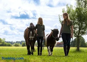 Springerhof - Image 3