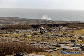 Aran Islands Hotel - Image 2