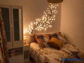 Cosy Green - Image 5