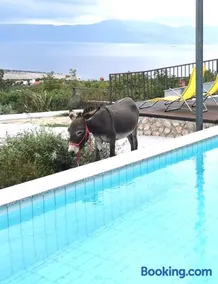 Villa Suzi - Family Farm Stay with Donkeys, Pool and Sea View near Rijeka - Image 2