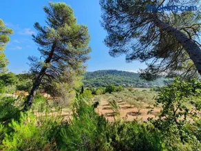 Domaine Lou Amì - Image 3