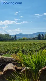 Maison de charme au cœur des vignes du Beaujolais - Image 2