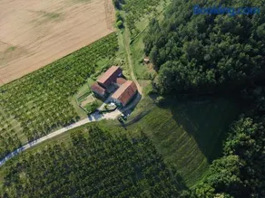 Studio au cœur de la nature - Image 2