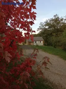 Le Chalet de Lilie - Image 2
